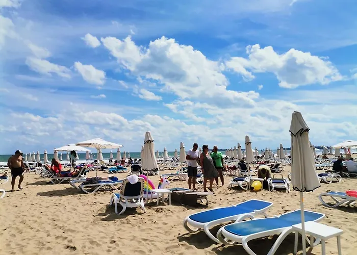 Pool Amadeus Lux 써니비치